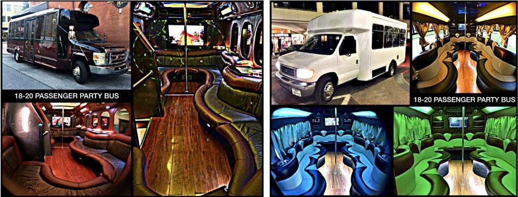 18-20 Passenger Limo Party Bus
