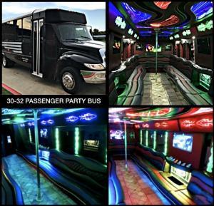 Party Bus 30 Passenger Transportation